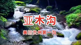 漆黑的森林逃脱